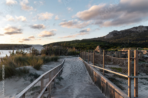 Wooden boardwalk in solitary beach photo