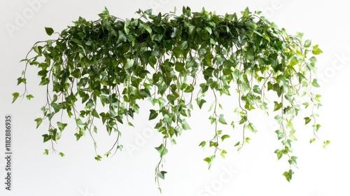 Hanging artificial ivy, indoor decor, white background, home decoration photo