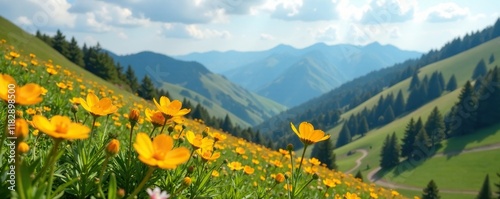 Wild Eschscholzia in full bloom on a hillside, green, , landscape photo