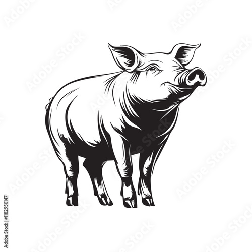 illustration of a pig