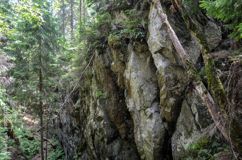 Explore a tranquil forest pathway winding through a stunning rocky gorge of Dovbush pantries surrounded by lush greenery offering an idyllic escape from urban life. Carpathians, Ukraine photo