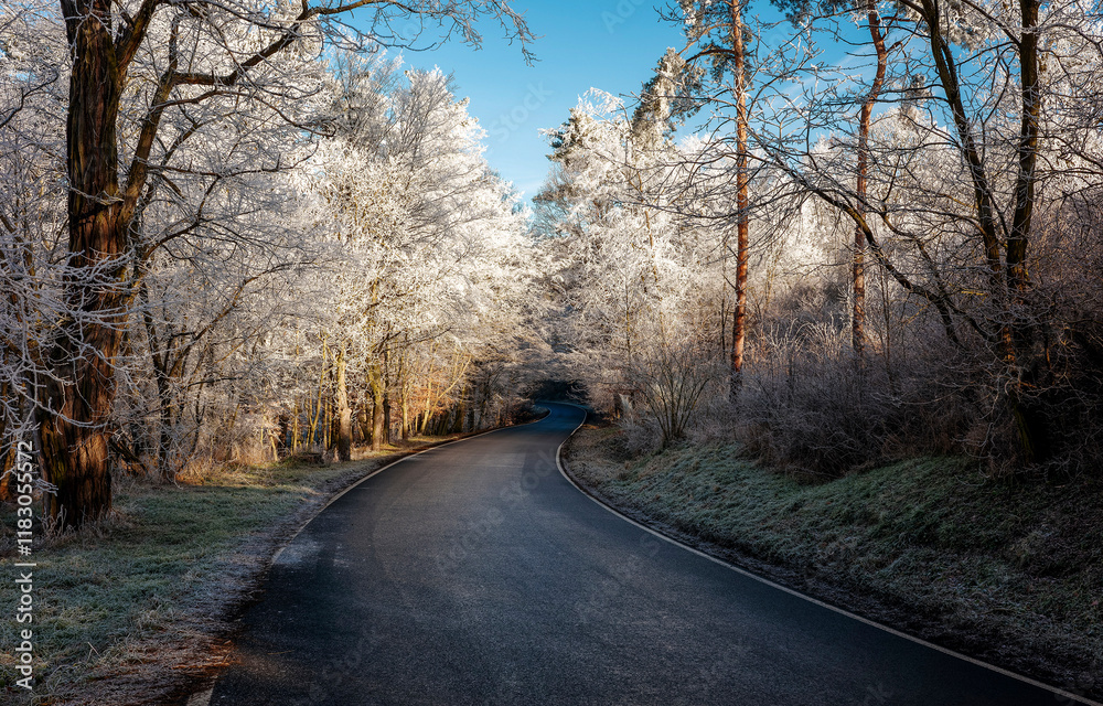 Forest road in winter landscape Forest road in winter landscape