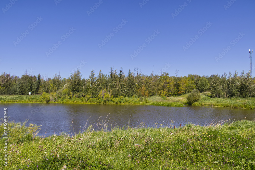 Fototapeta premium Pylypow Wetlands in the Summer