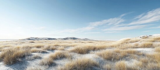 Stickers Plage et Mer Serene winter landscape of snowy dunes and dry grass under a clear blue sky.  © STwul