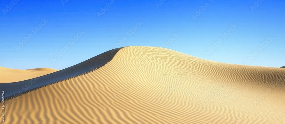 Naklejka premium Rolling sand dunes under a clear blue sky.