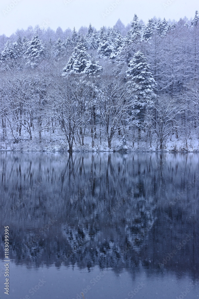 Obraz premium snow covered trees and lake in winter