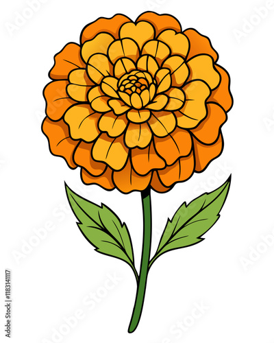 Marigold Flower Vector Illustration, Elegant Floral Design 