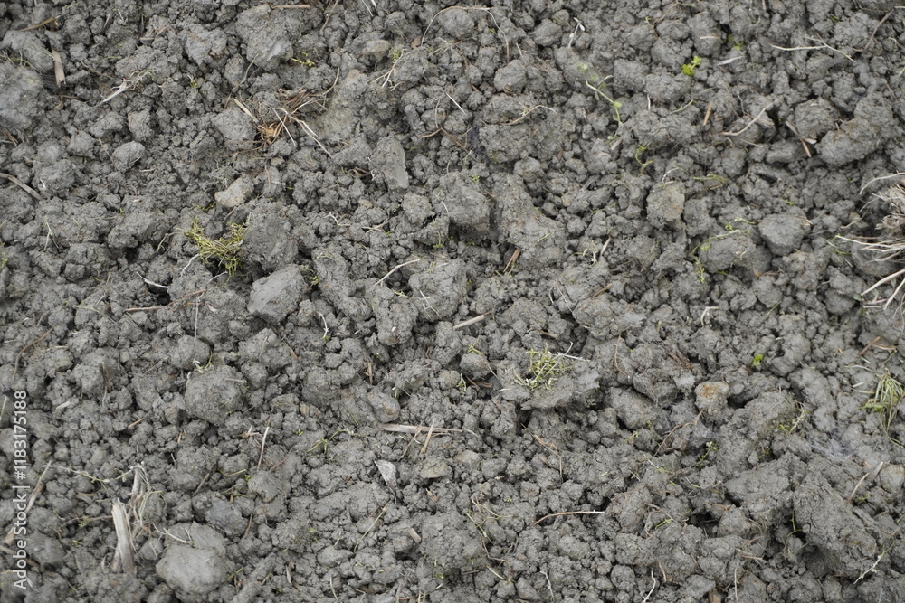 Dry Soil with Natural Textures and Sprouts Dry Soil with Natural Textures and Sprouts