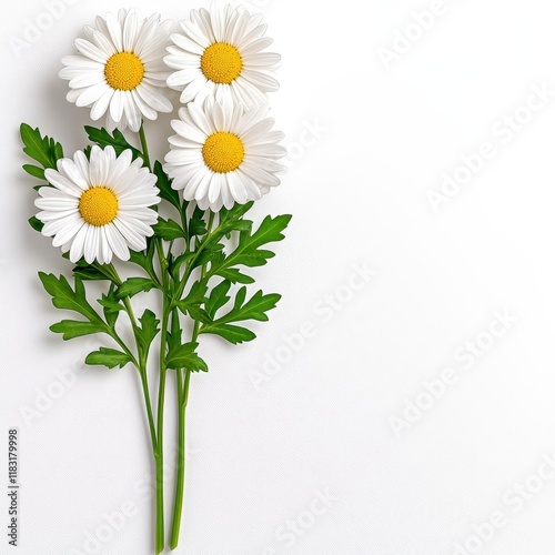 A photostock of beautiful daisies with white petals and yellow centers, arranged in a natural bouquet on a clean white background, symbolizing freshness and simplicity. High Quality photo