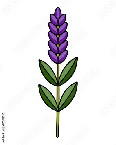 Lavender Flower Vector Illustration, Elegant Floral Design