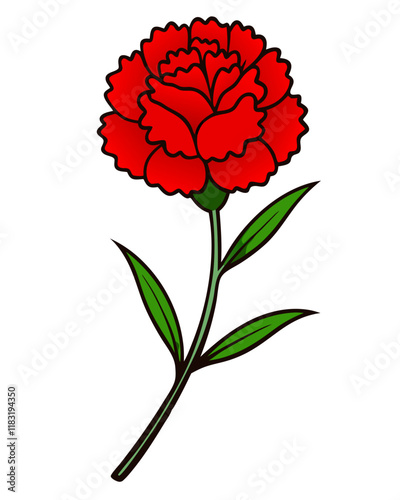 Carnation Flower Vector Illustration, Elegant Floral Design