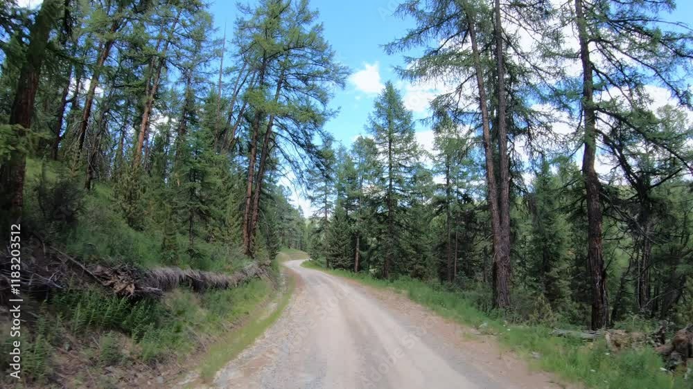 Driving on off-road car along a mountain forest road. Yazula mountain pass in Altai Driving on off-road car along a mountain forest road. Yazula mountain pass in Altai