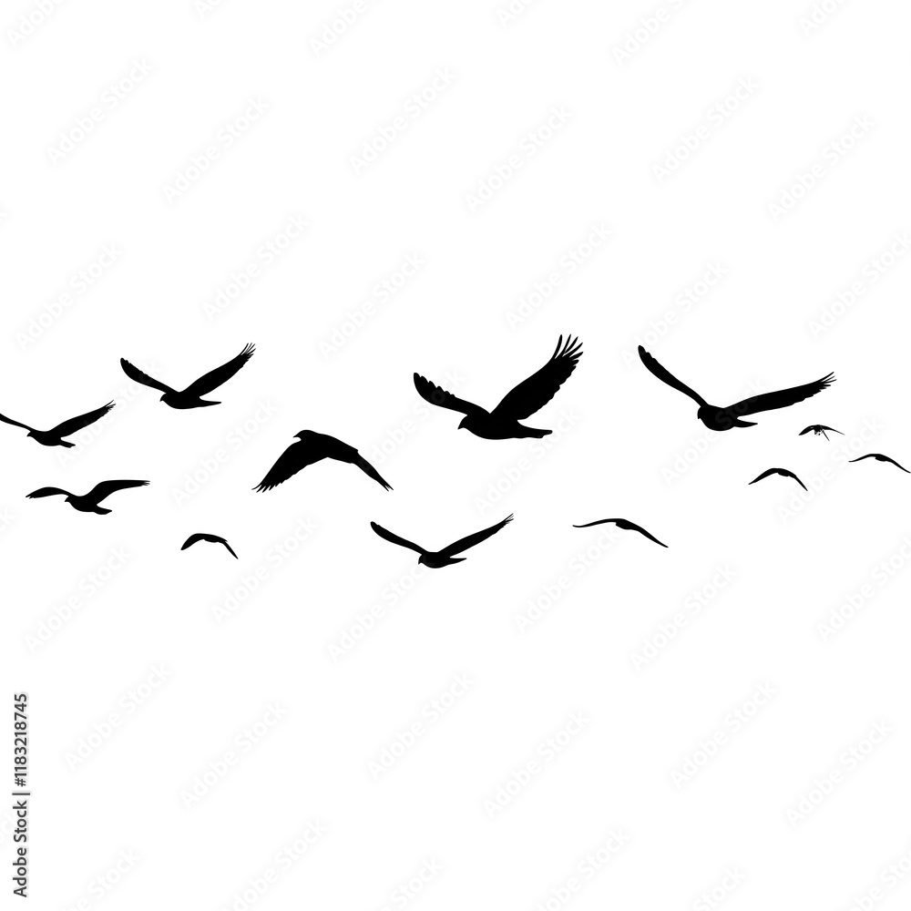 Obraz premium Beautiful Black Bird Flock PNG for Creative Use, Modern Transparent Background Image of Birds in Motion