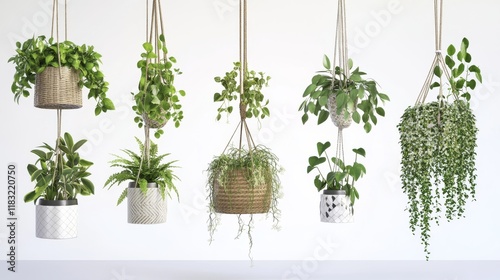 29.A detailed vector set of lush indoor plants in hanging planters, ceramic pots, and trendy basket containers, each uniquely designed with playful details. photo