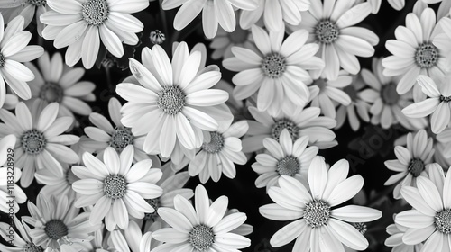 daisy seamless pattern wallpaper