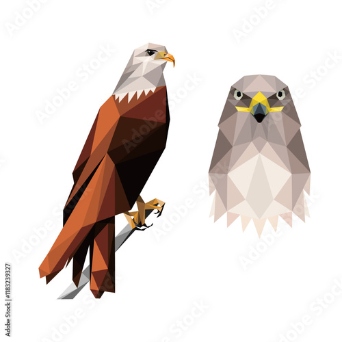 Angry Eagle Hawk head face illustration polygon. Hawk in graphic low poly vector. bald Eagle abstract mascot for kid animal book photo