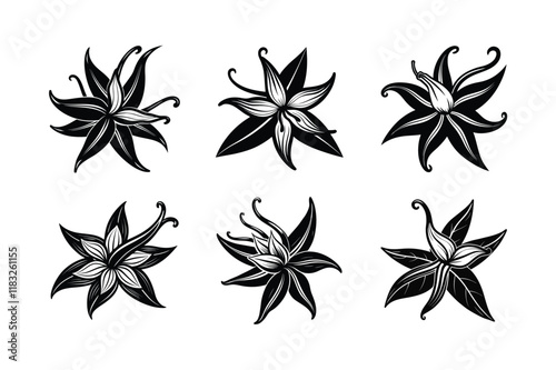 Vanilla (Vanilla planifolia) design, labeled silhouette vector illustration