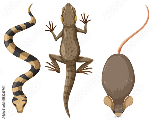 Wildlife Trio: Snake, Lizard, and Mouse