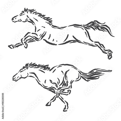 vector sketch of two galloping horse poses