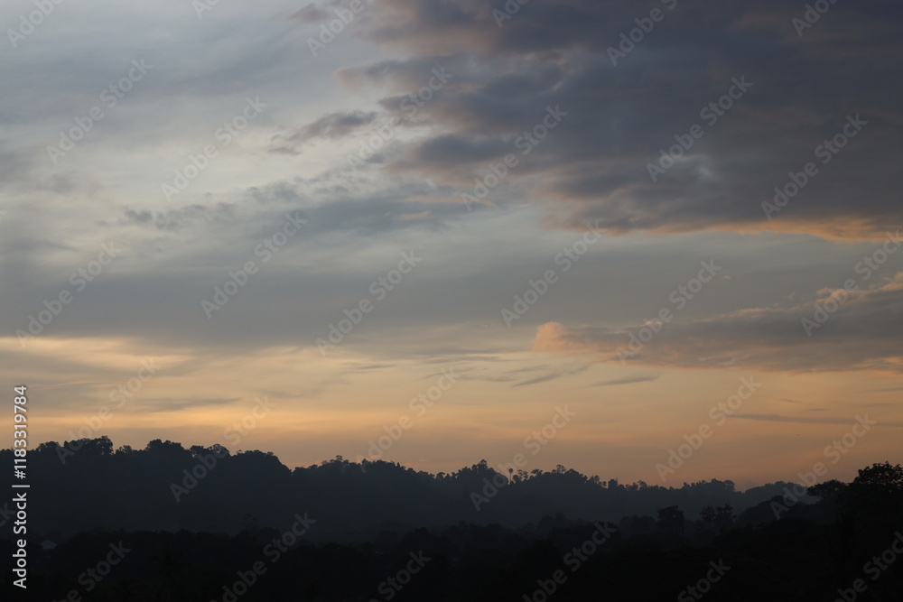 clouds painted in pastel hues of gold, pink, blue, gray (grey) above dense tropical rain forest at sunrise clouds painted in pastel hues of gold, pink, blue, gray (grey) above dense tropical rain forest at sunrise