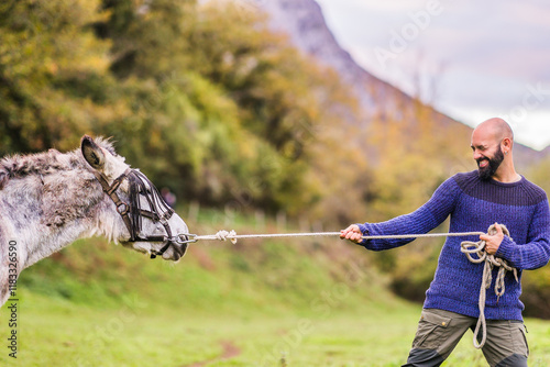 Tug of war with donkey stubborn disappointment business humor concept. Leadership communication