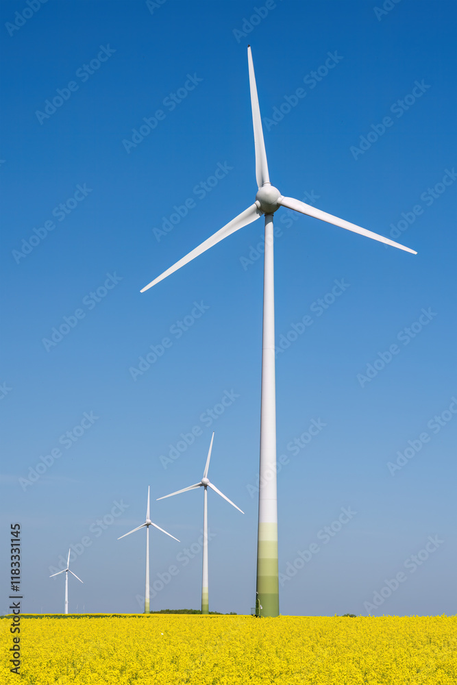 Wind turbines in a flowering canola field seen in Germany Wind turbines in a flowering canola field seen in Germany