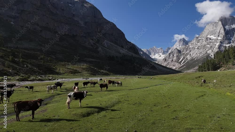 Aerial video over the Indus River and beautiful views at Qumran Village Skardu Aerial video over the Indus River and beautiful views at Qumran Village Skardu