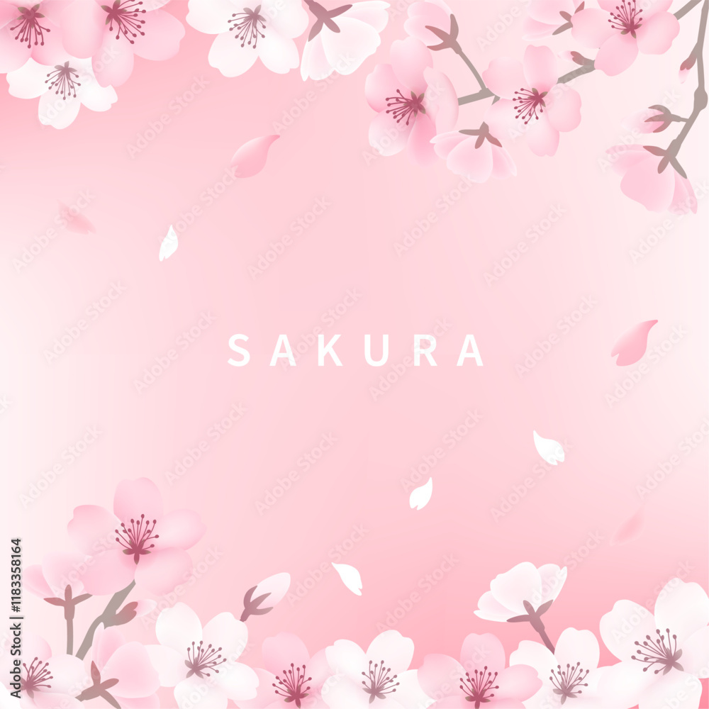 Fototapeta premium 桜の背景_スクエアピンク