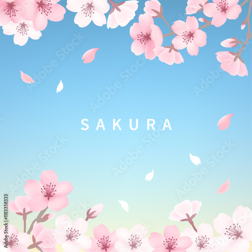 桜の背景_スクエア水色