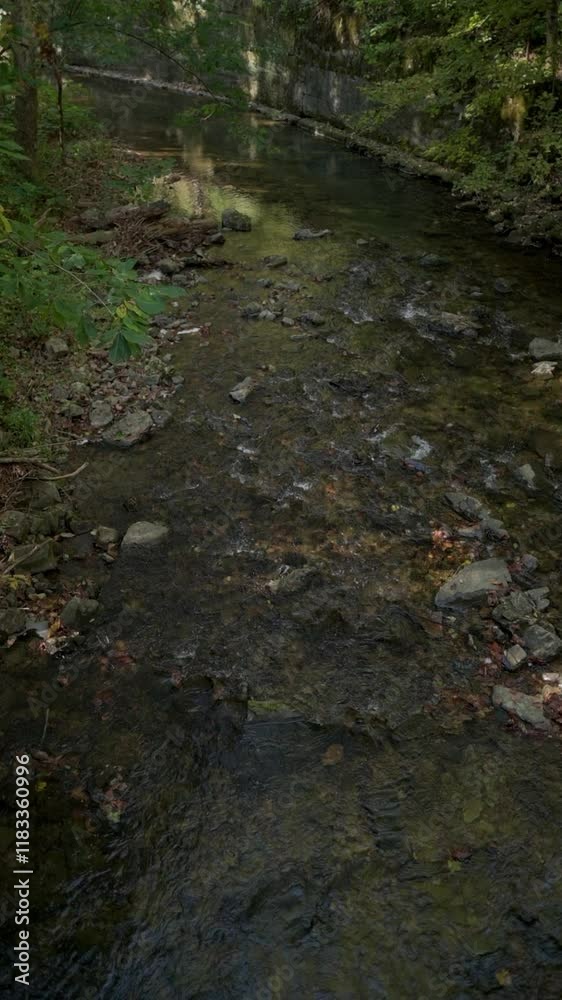 Vertical screen Tranquil Stream at Natural Tunnel State Park Virginia, USA peaceful stream flowing through lush greenery of Natural Tunnel State Park in Virginia nature, serenity, outdoor exploration. Vertical screen Tranquil Stream at Natural Tunnel State Park Virginia, USA peaceful stream flowing through lush greenery of Natural Tunnel State Park in Virginia nature, serenity, outdoor exploration.