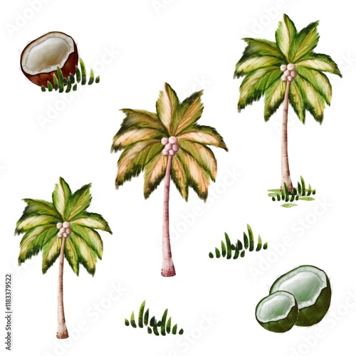 Wallpaper Mural Tropical palm trees and coconuts in a natural landscape Torontodigital.ca
