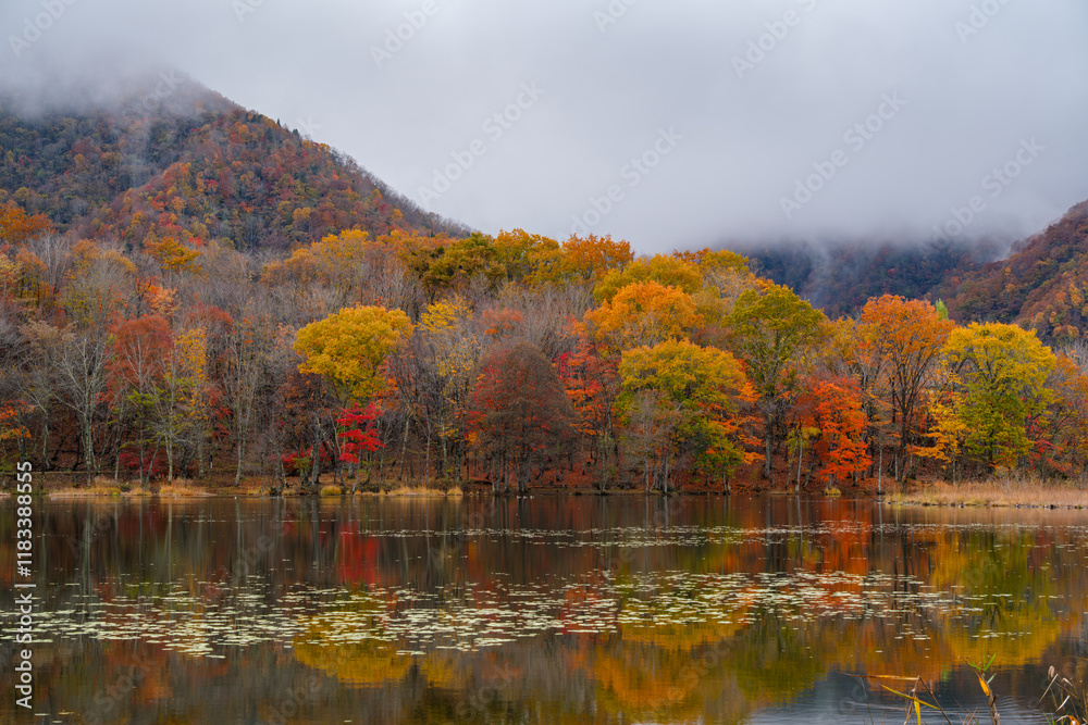 Naklejka premium 山並と紅葉