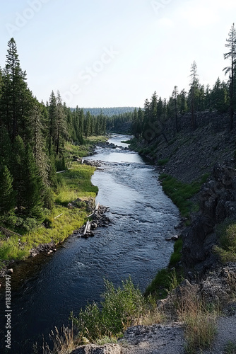 Smooth river flowing through a peaceful forest landscape photo