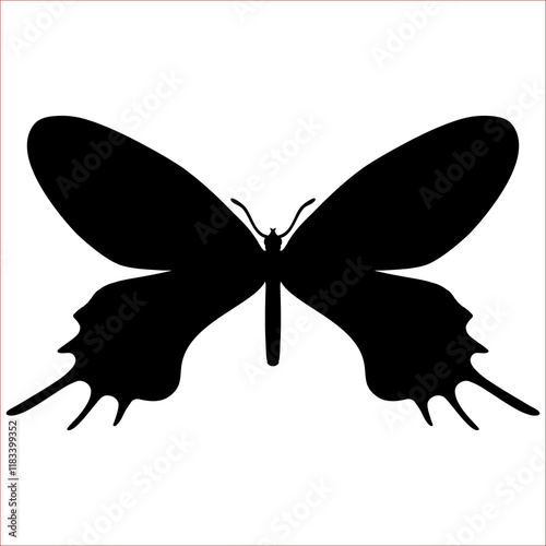 Bhutan Glory, butterfly silhouette isolated on white, Bhutanitis Lidderdalii photo