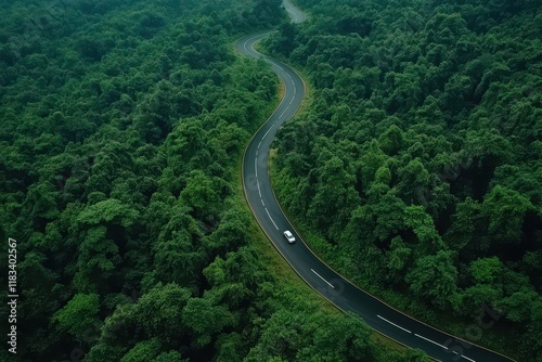 Car drives winding jungle road, aerial view