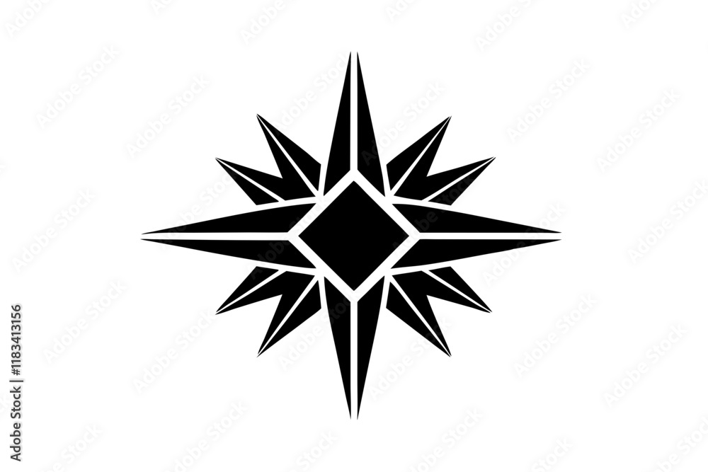 Obraz premium black and white star
