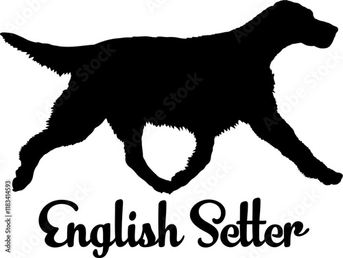 English Setter. dog silhouette, dog, dog breeds, logo, vector, love me love my dog, silhouette, i love my dog, animal, illustration, icon, sign, design, black, symbol, pet, love

