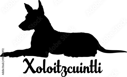 Xoloitzcuintli.svg dog silhouette, dog, dog breeds, logo, vector, love me love my dog, silhouette, i love my dog, animal, illustration, icon, sign, design, black, symbol, pet, love

