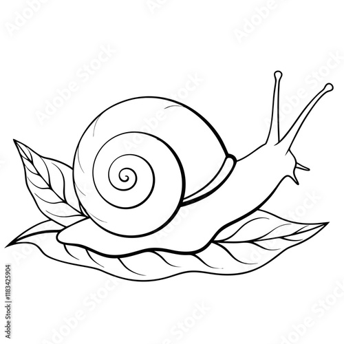 snail