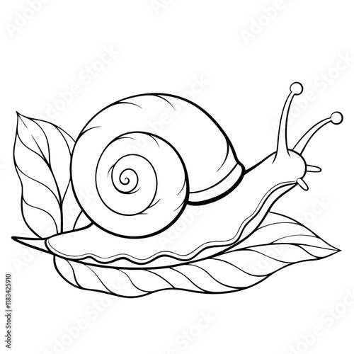 snail
