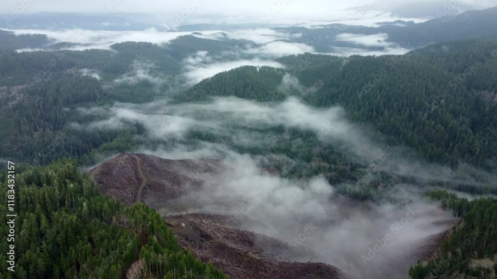 USA, OR, Lincoln City, , 2024-12-14 - Drone view of a clear cut logging area outside Lincoln City USA, OR, Lincoln City, , 2024-12-14 - Drone view of a clear cut logging area outside Lincoln City
