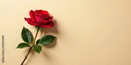 Wallpaper Mural Single Red Rose on Pale Yellow Background, Perfect for Romance and Love Themes Torontodigital.ca