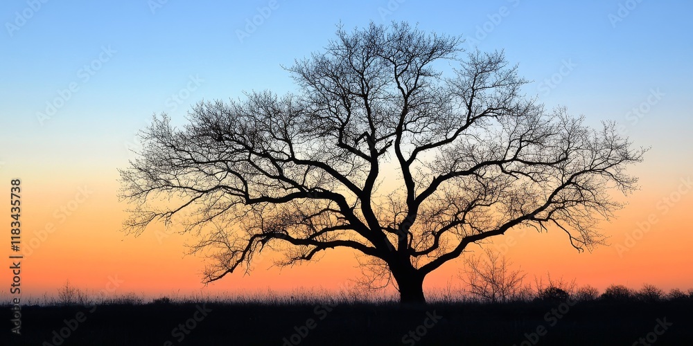 Tree silhouette at dusk creates a stunning visual effect, showcasing the intricate shapes and forms of the tree against the fading light, emphasizing the tranquility of dusk. Tree silhouette at dusk creates a stunning visual effect, showcasing the intricate shapes and forms of the tree against the fading light, emphasizing the tranquility of dusk.