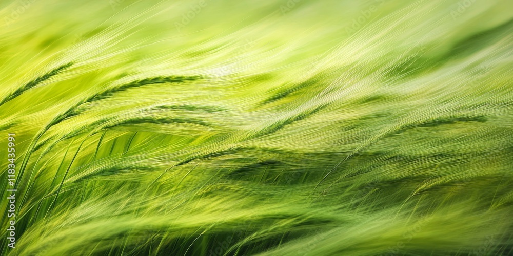 Wheat grass sways gracefully in the gentle breeze, showcasing the vibrant green of wheat grass that dances with the wind, creating a serene and calming natural scene of wheat grass in motion. Wheat grass sways gracefully in the gentle breeze, showcasing the vibrant green of wheat grass that dances with the wind, creating a serene and calming natural scene of wheat grass in motion.