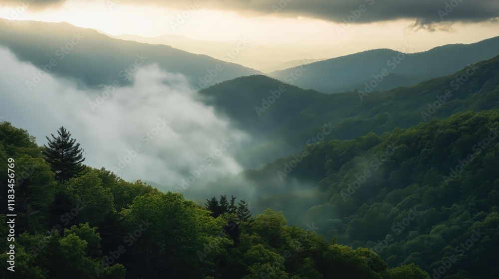 Obraz premium Aerial view of the lush green hills covered in green trees and dense forests 