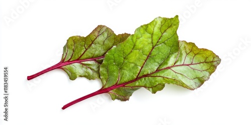Beetroot leaves displayed in isolation on a white background, showcasing the vibrant greenery of beetroot leaves perfect for culinary and artistic purposes. Observe the unique textures of beetroot