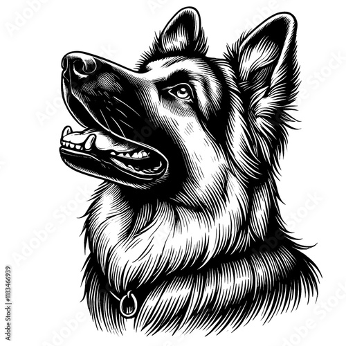 Hand drawn German Shepherd portrait, vector sketch isolated on white background, SVG vector	