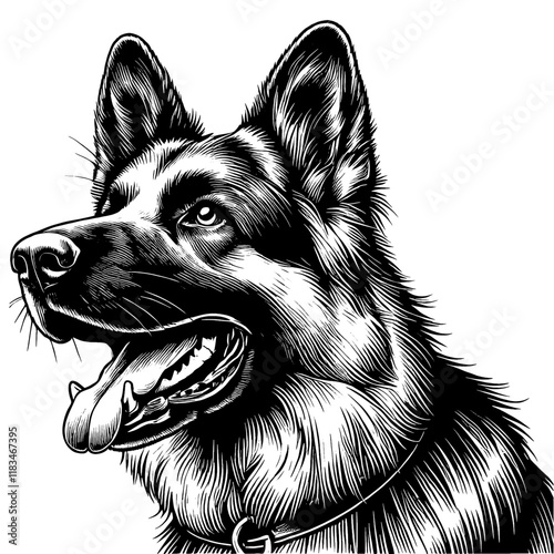 Hand drawn German Shepherd portrait, vector sketch isolated on white background, SVG vector	