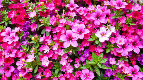 Wallpaper Mural Design a lush floral background bursting with vibrant pinks, purples, and greens, featuring a variety of blooming flowers in high definition, creating a lively and inviting atmosphere." Torontodigital.ca