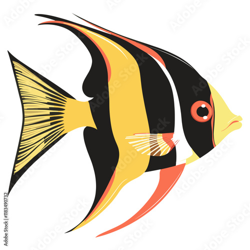 Angel fish illustration marine ocean vector